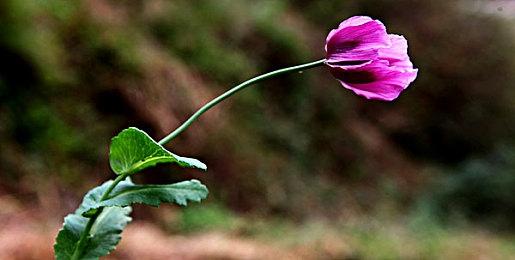 兰博基尼 Esports 宣布模拟赛车比赛 THE REAL RACE 2021 获胜者